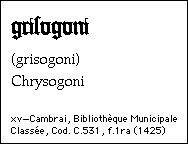 Chrysogoni.png